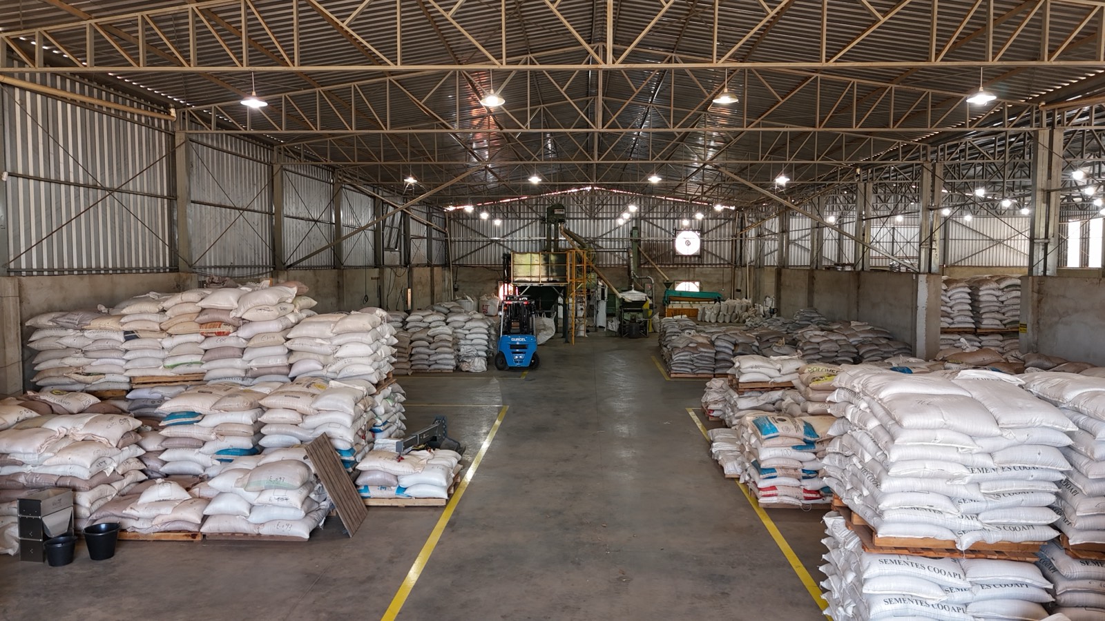Armazém interno da SP Agro com empilhadeira e sacaria de sementes estocada
