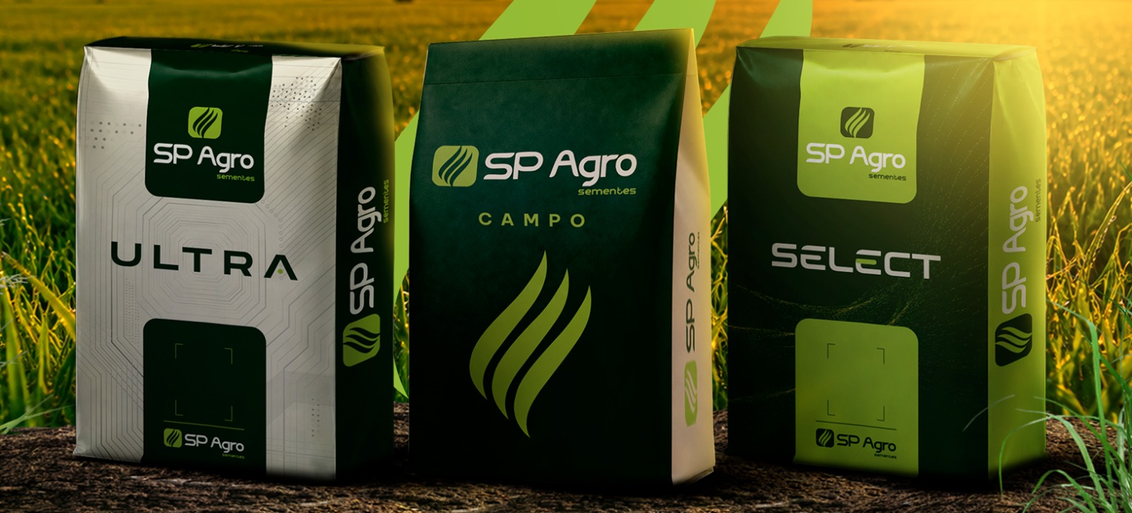 Linhas Campo, Select e Ultra da SP Agro Sementes ao pôr do sol
